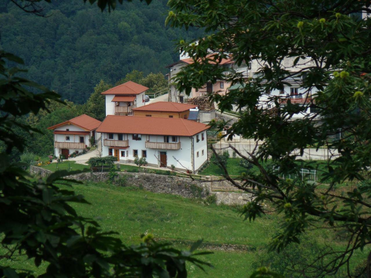 Apartmaji Nena Rocinj Exterior foto